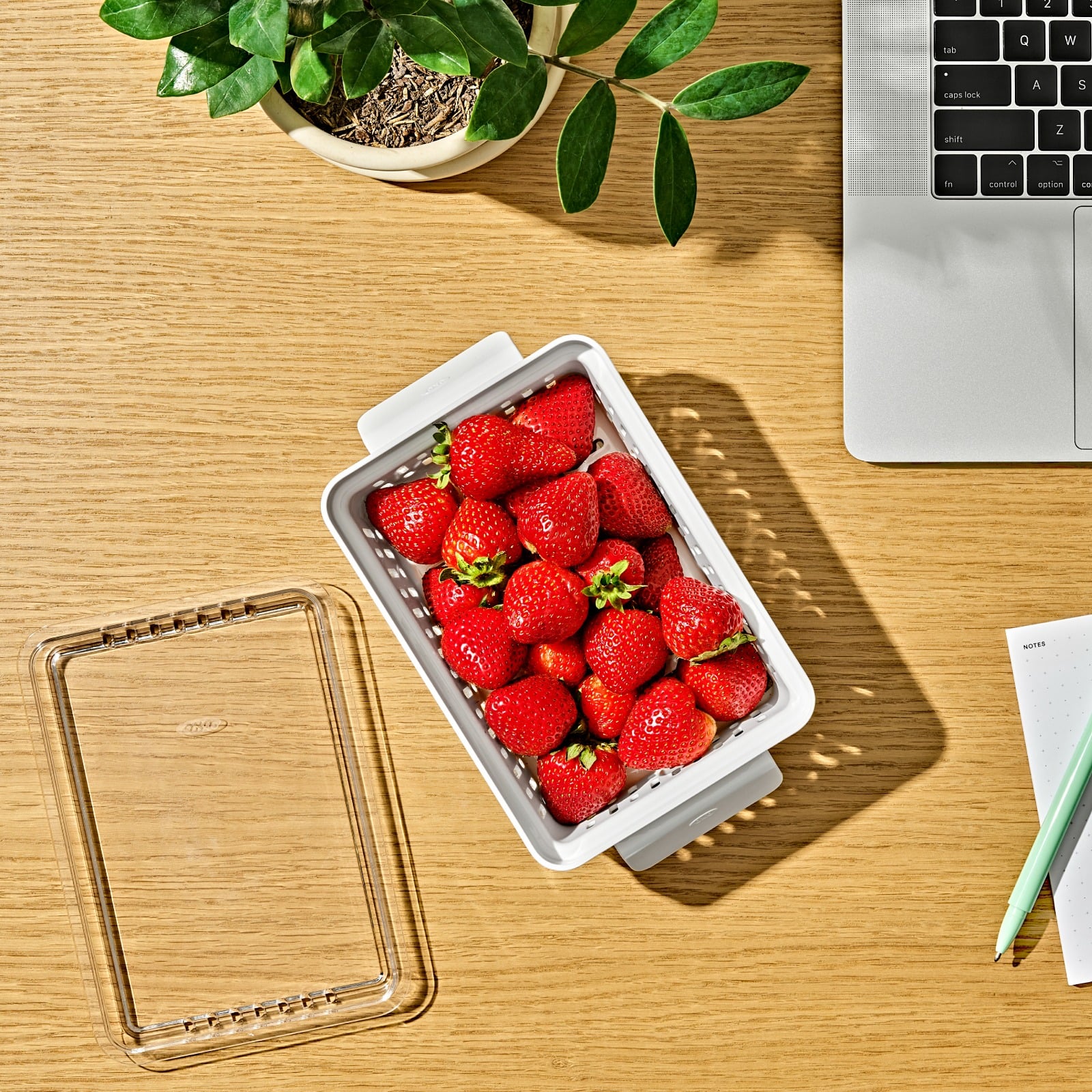 Produce Saver - Berry Keeper 2-Piece Set - Image 5
