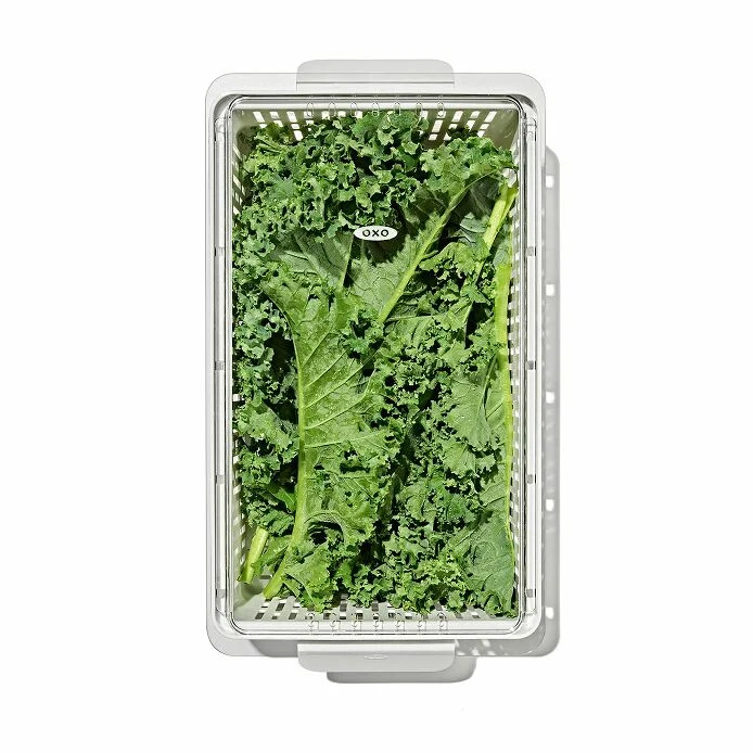 Produce Saver - Medium Bin - Image 7