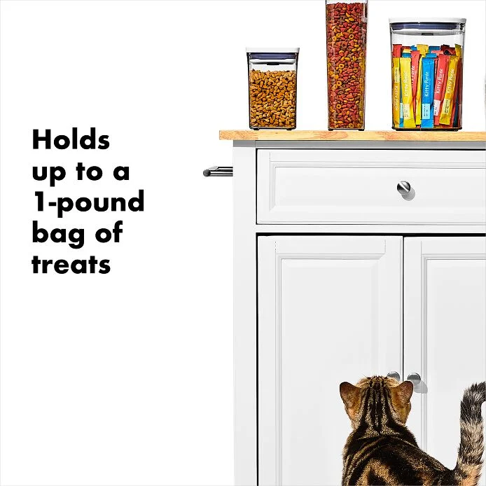 OXO Good Grips Pet POP Container – 1.1 Qt/1 L - Image 3