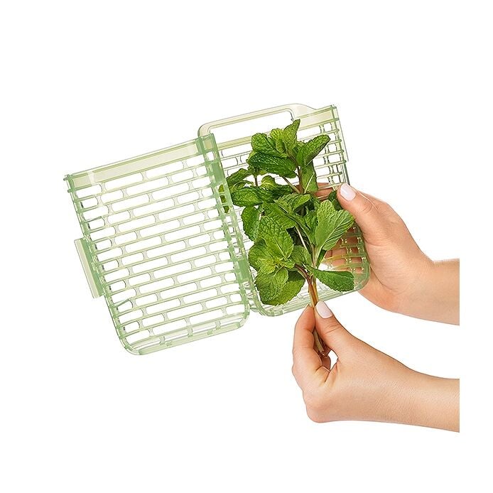 GreenSaver Herb Keeper - Image 4