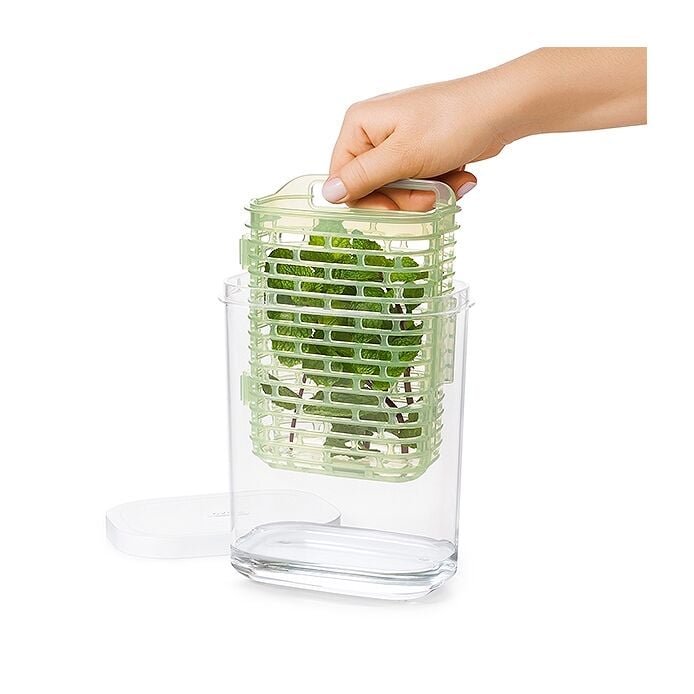 GreenSaver Herb Keeper - Image 3