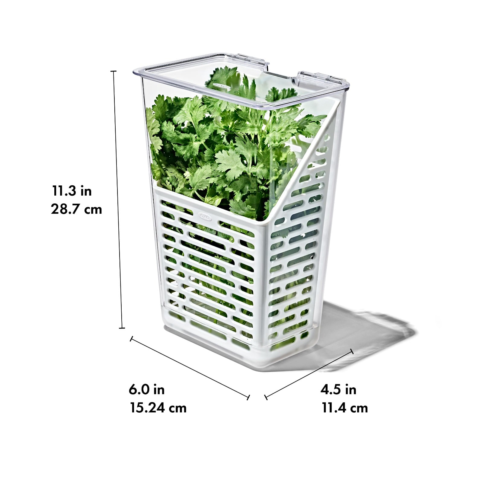 Produce Saver - Herb Keeper - Image 7