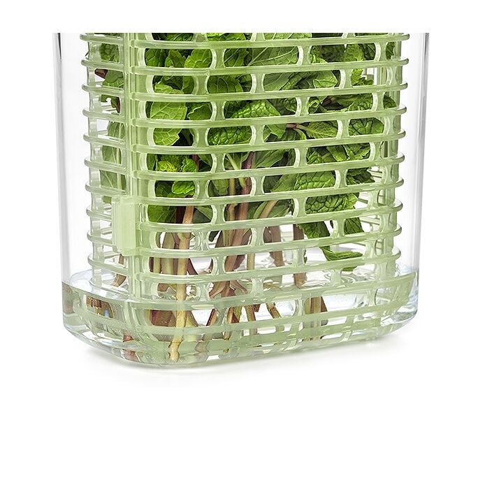 GreenSaver Herb Keeper - Image 8