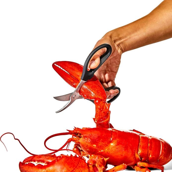 Seafood Scissors - Image 6
